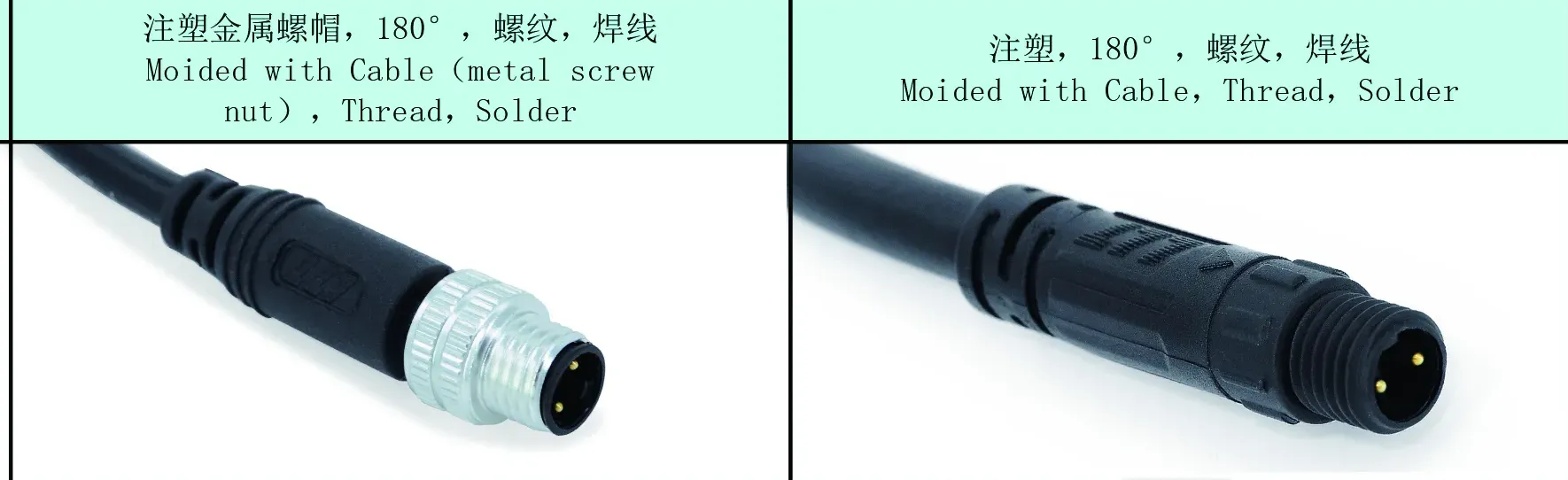 Industrial-Grade M8 Injection-Molded Male/Female Connector